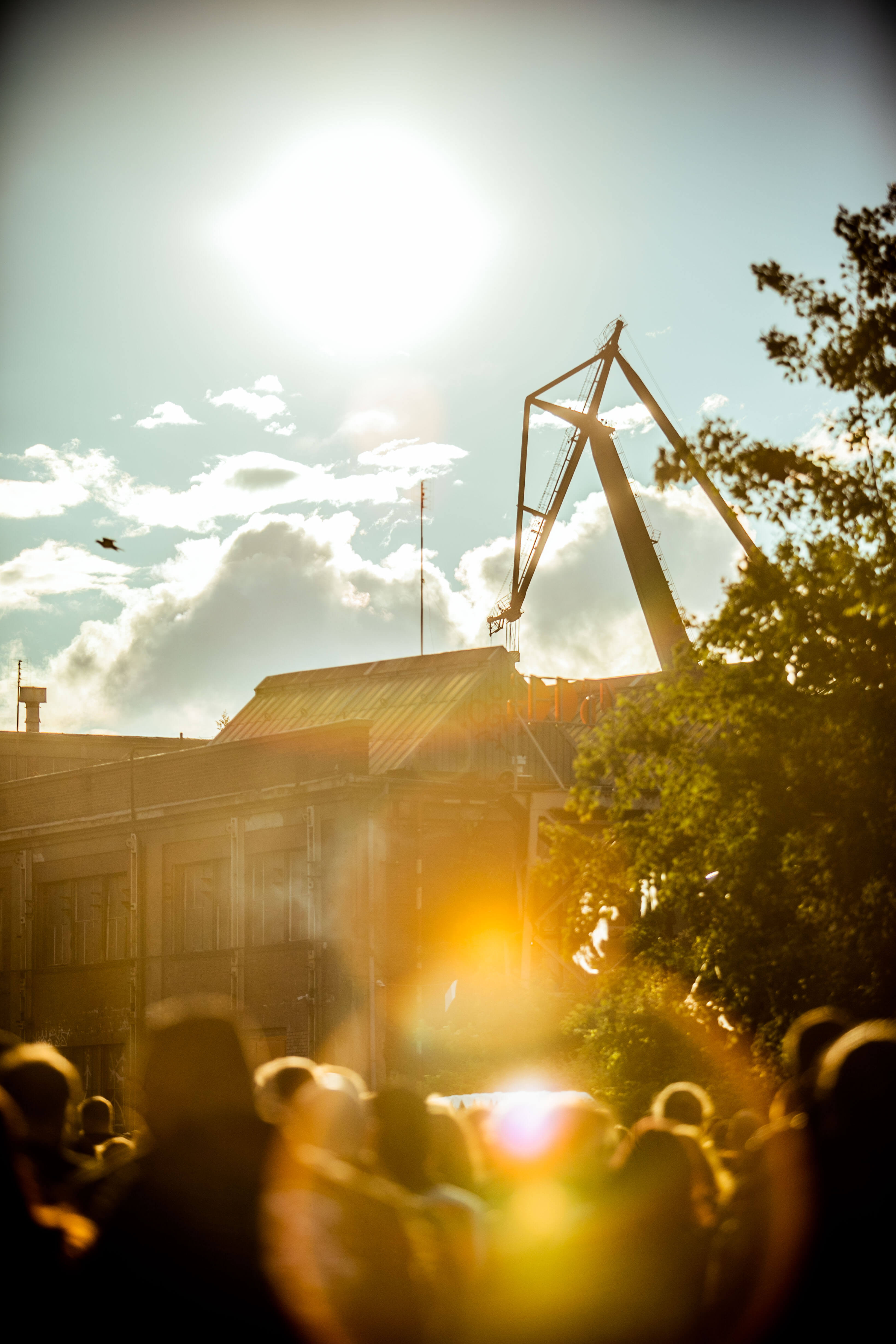 Mystic festival