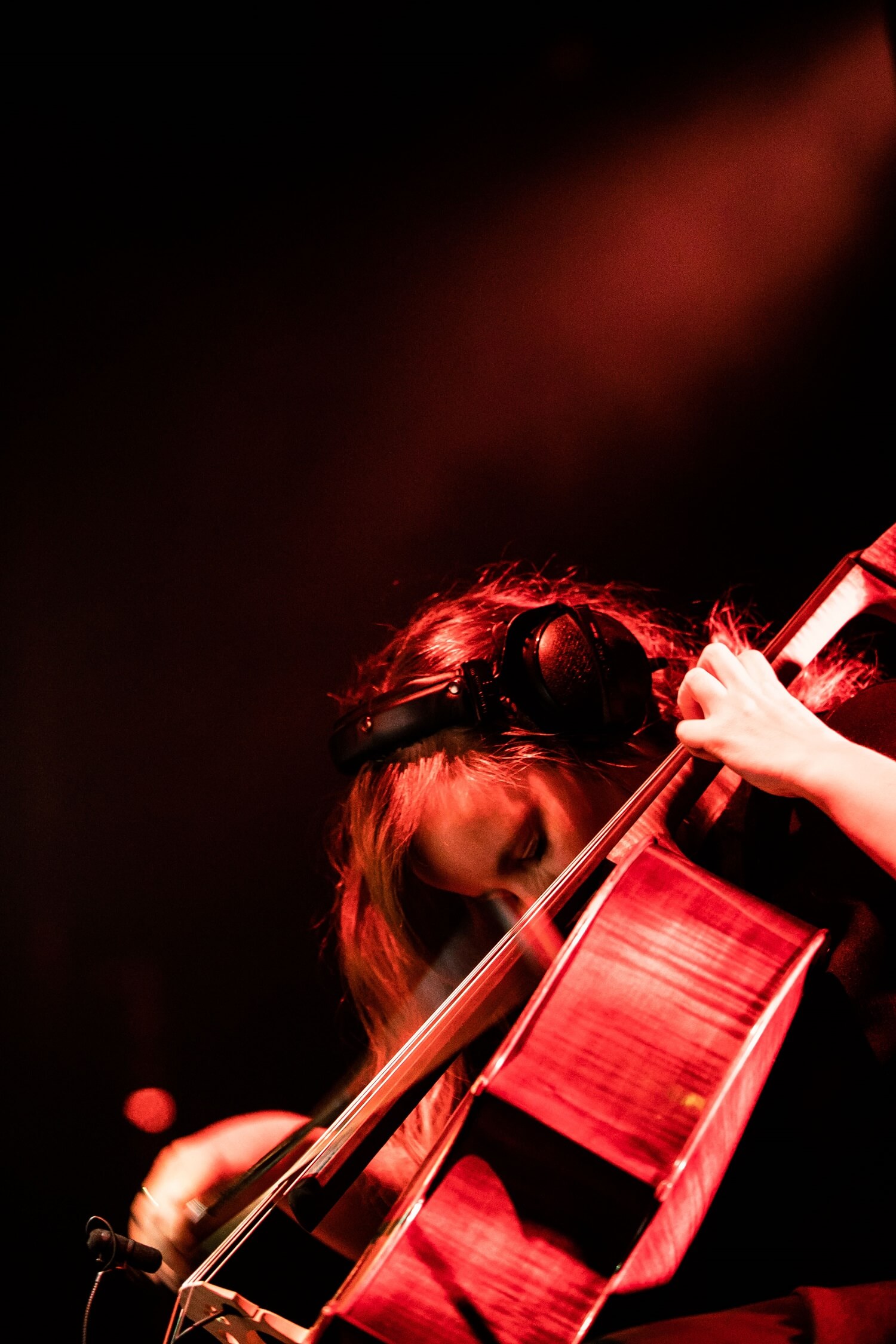 Sea You festival